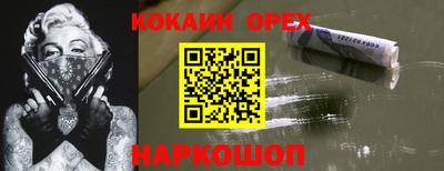 спайс Кингисепп