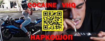спайс Кингисепп