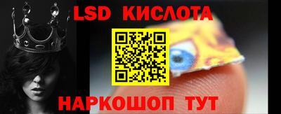 спайс Кингисепп