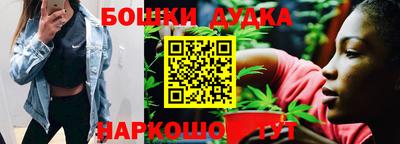 спайс Кингисепп