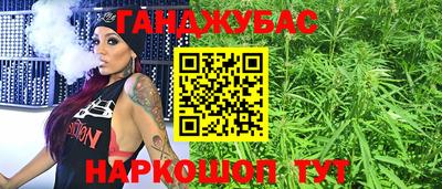 спайс Кингисепп