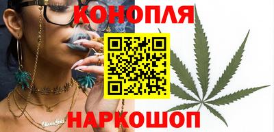 спайс Кингисепп