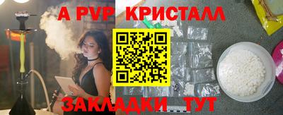 спайс Кингисепп