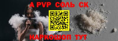 спайс Кингисепп