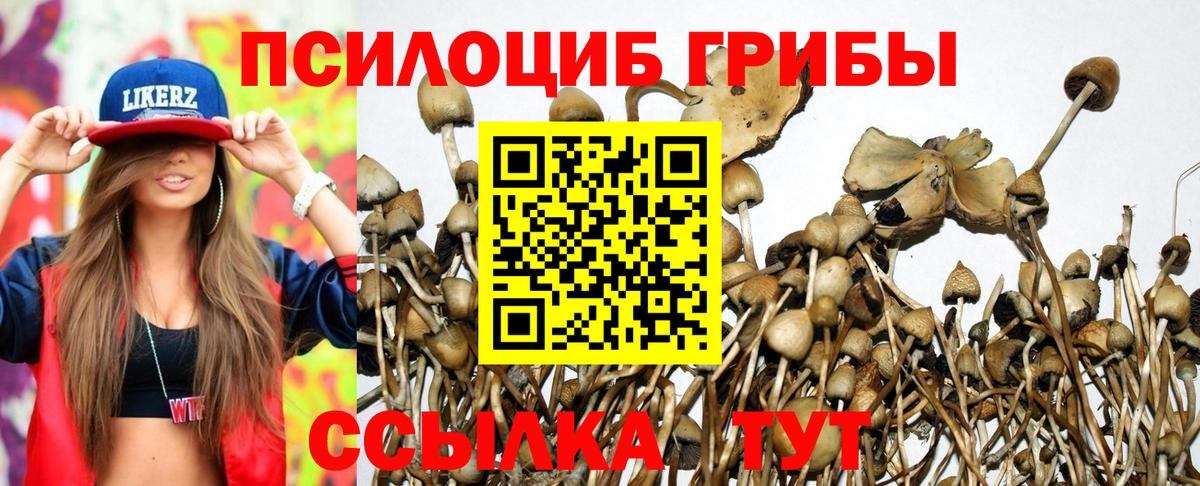 Псилоцибиновые грибы мухоморы Искитим